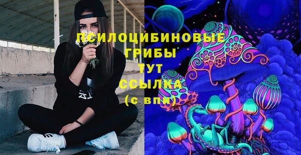 молекула духа Вяземский