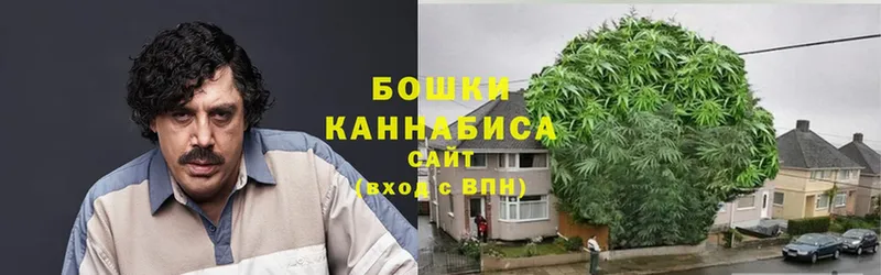 цена   Нолинск  Марихуана OG Kush 